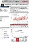 Russell/Nomura Small Cap